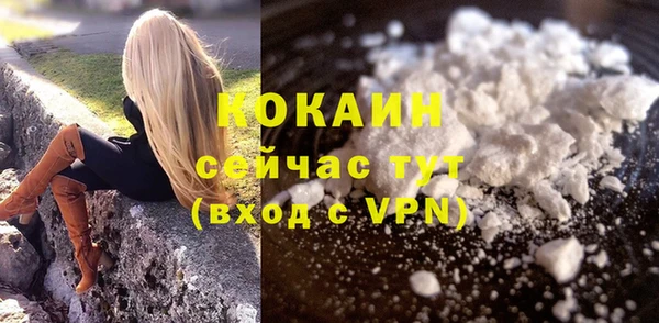 стаф Богородск