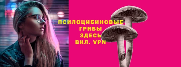 стафф Богданович