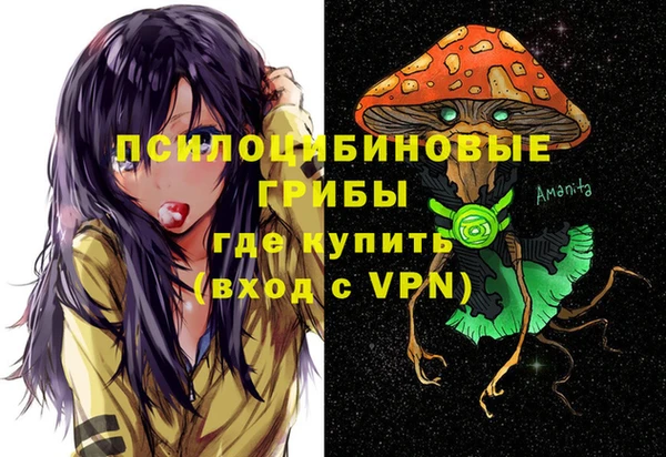 круглые Аркадак
